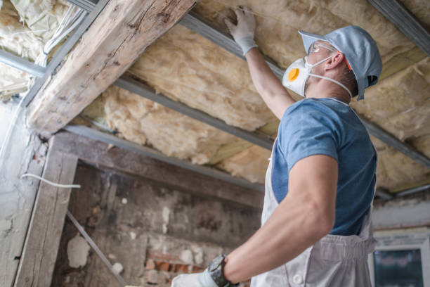 Best Geographic-Specific Insulation Services in Duchesne, UT